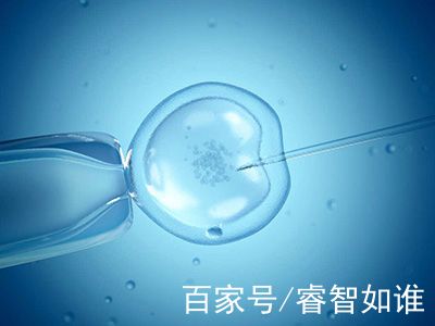 有偿同志借卵怎么选